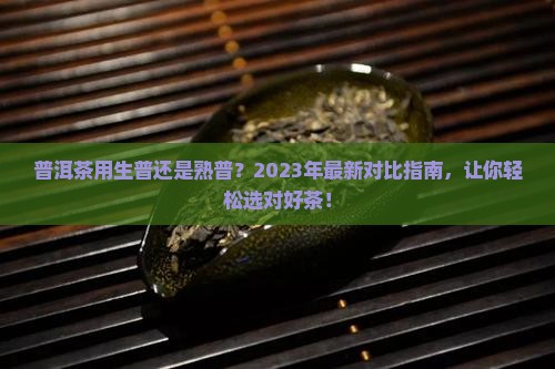 普洱茶用生普还是熟普