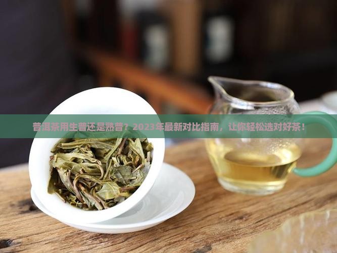 普洱茶用生普还是熟普