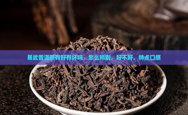 易武普洱茶有好有坏吗