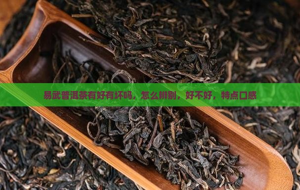 易武普洱茶有好有坏吗
