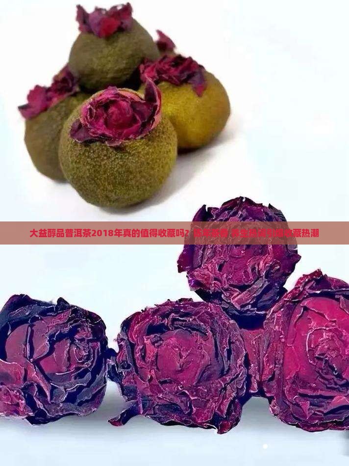 大益醇品普洱茶2018年