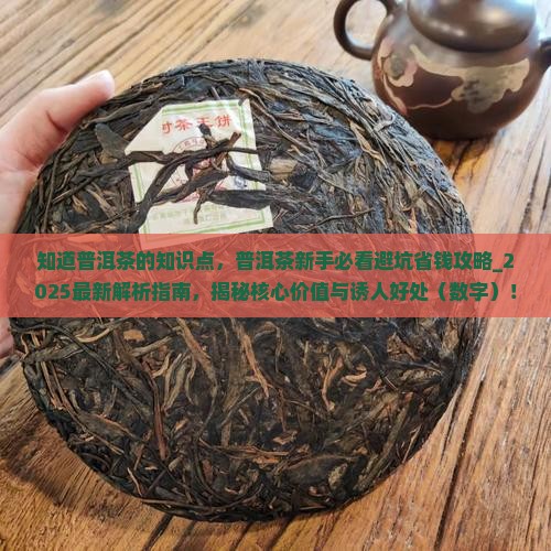 知道普洱茶的知识点
