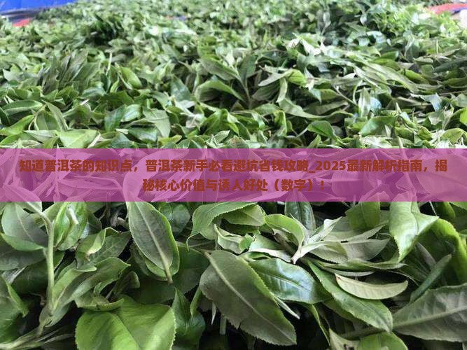 知道普洱茶的知识点