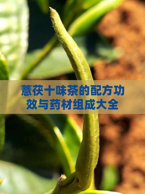 薏茯十味茶的配方
