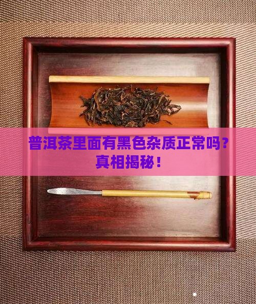 普洱茶里面有黑色杂质正常吗