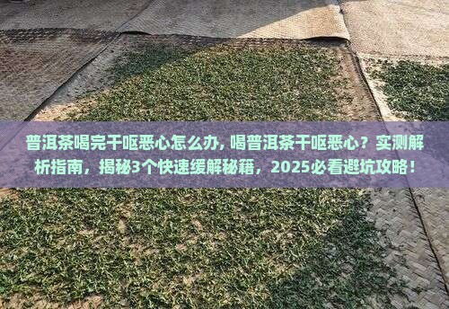 普洱茶喝完干呕恶心怎么办