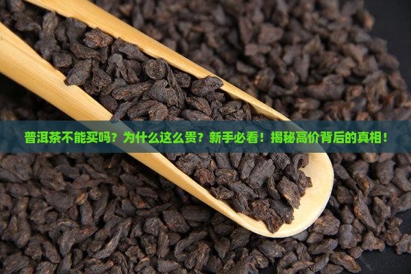 普洱茶不能买吗为什么这么贵