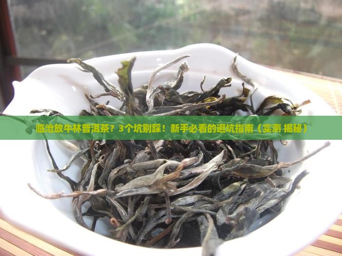 临沧放牛林普洱茶