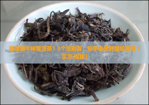 临沧放牛林普洱茶
