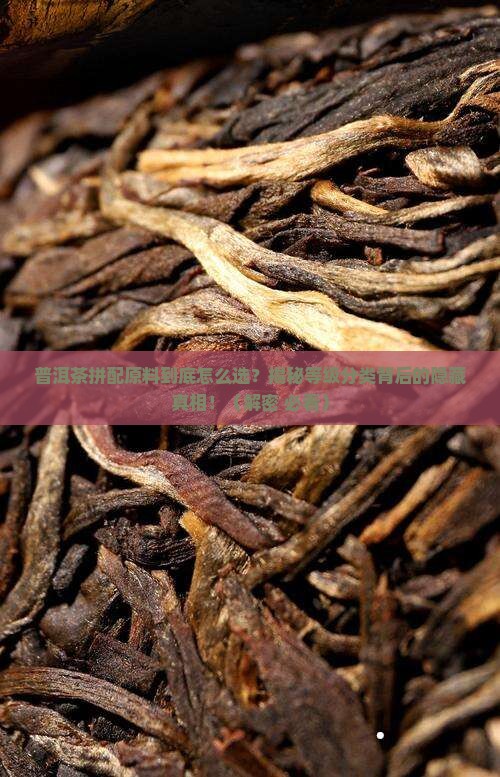 普洱茶拼配原料等级分类