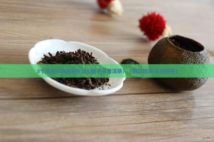 安溪山居岁月普洱茶