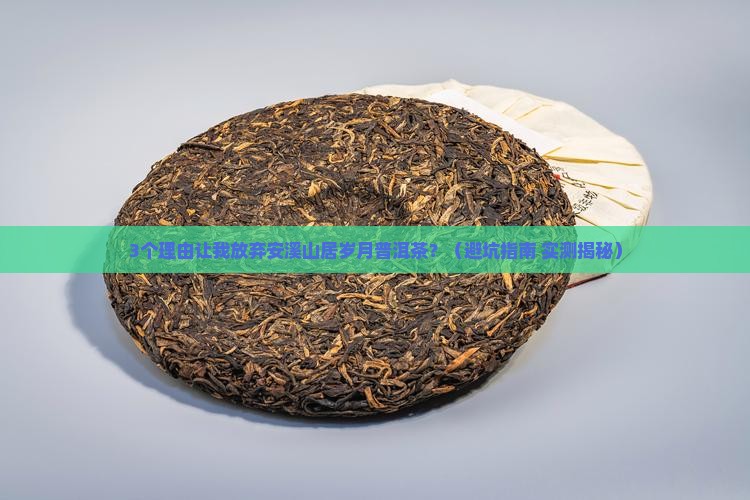 安溪山居岁月普洱茶