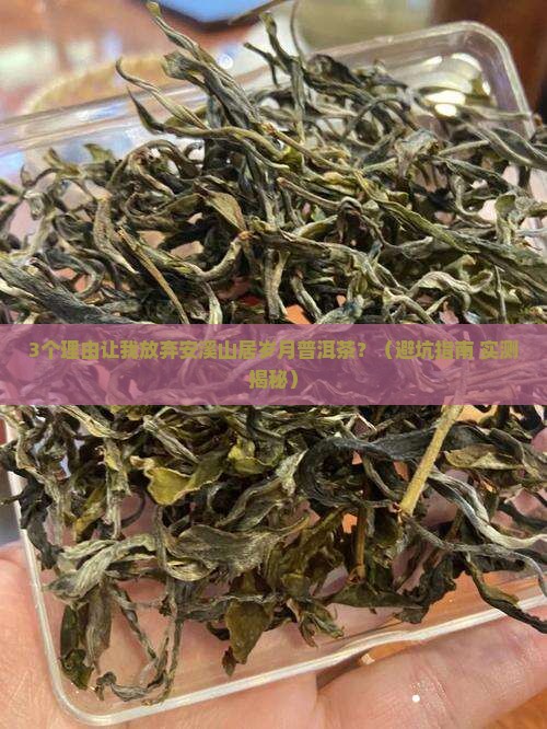 安溪山居岁月普洱茶