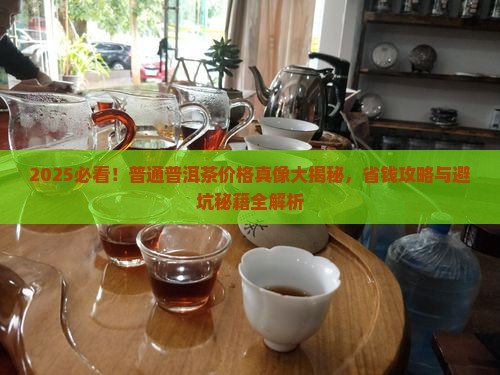 现在普通普洱茶价格