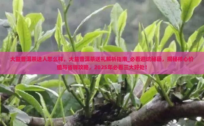 大益普洱茶送人怎么样