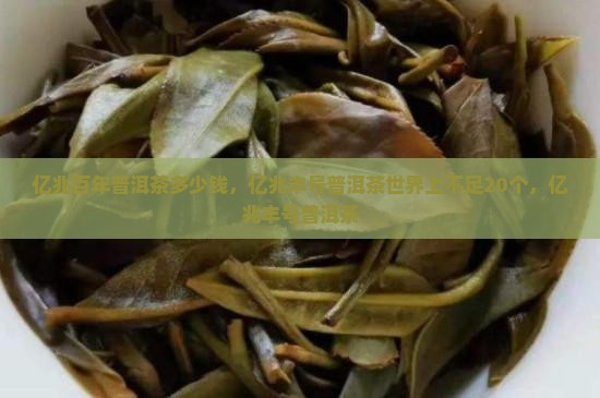 亿兆百年普洱茶多少钱