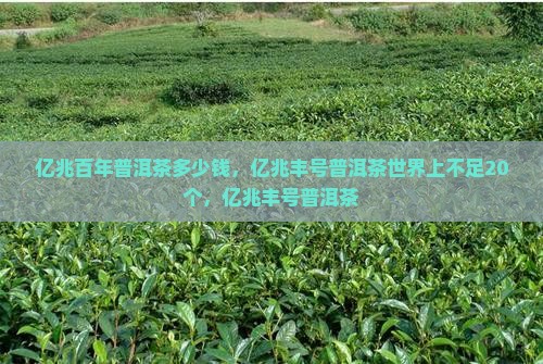 亿兆百年普洱茶多少钱