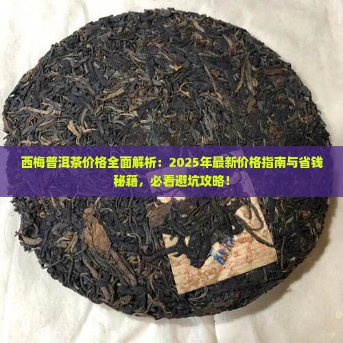西梅普洱茶多少钱