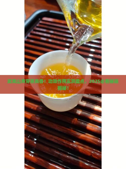 武夷山黄芽茶的功效和作用