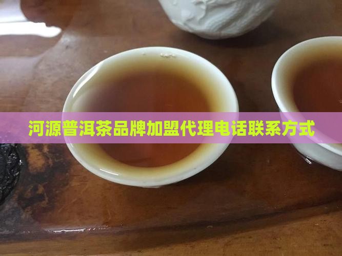 河源普洱茶品牌加盟代理