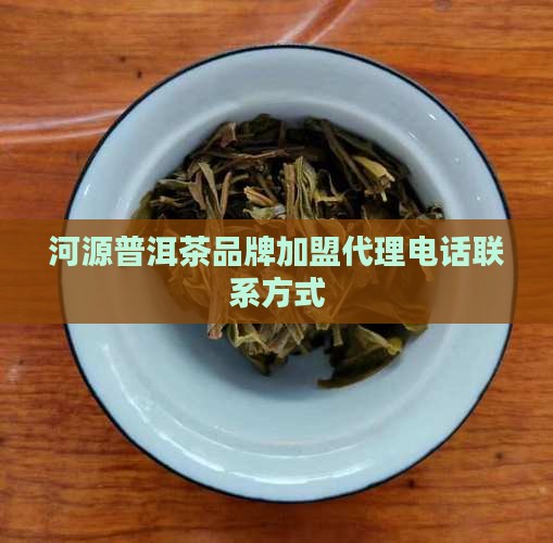 河源普洱茶品牌加盟代理