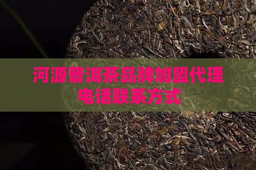 河源普洱茶品牌加盟代理