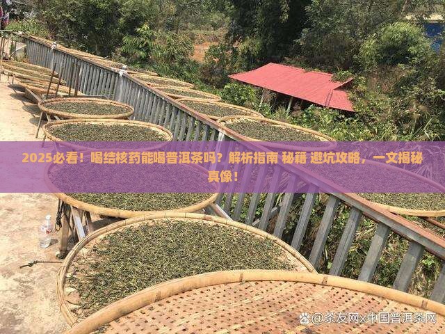 喝结核药能喝普洱茶吗