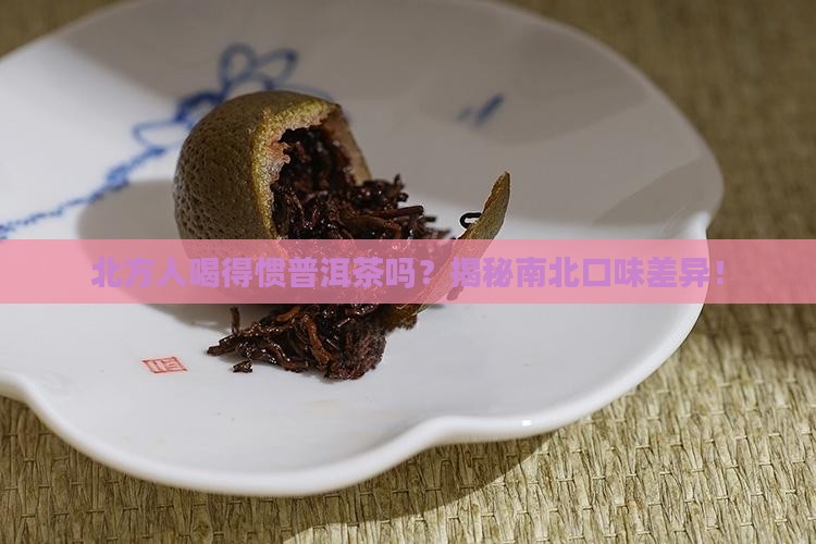 北方人喝得惯普洱茶吗