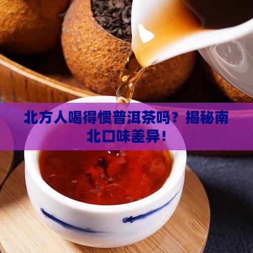 北方人喝得惯普洱茶吗
