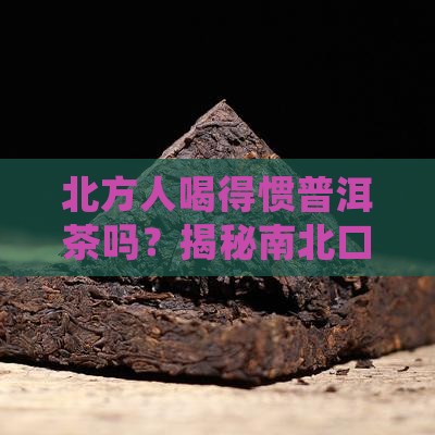 北方人喝得惯普洱茶吗