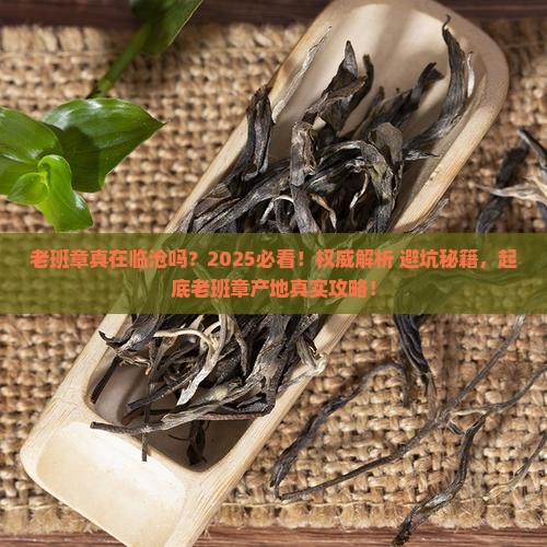老班章在临沧地区吗