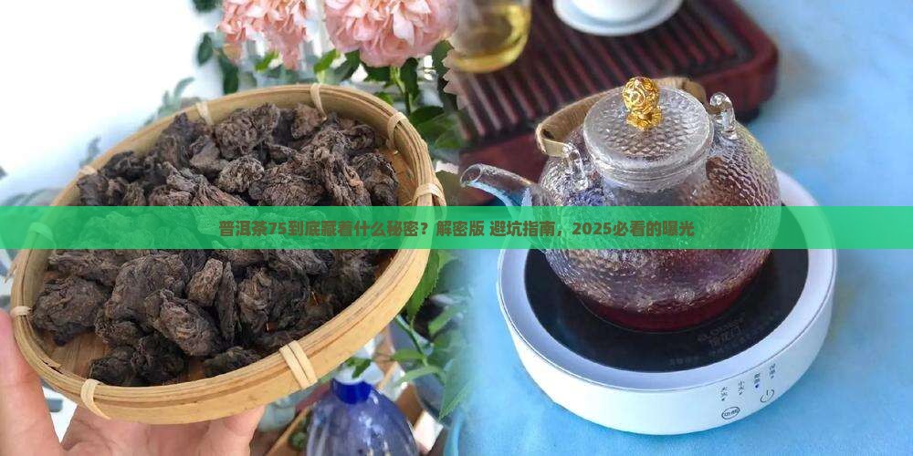 普洱茶75代表什么