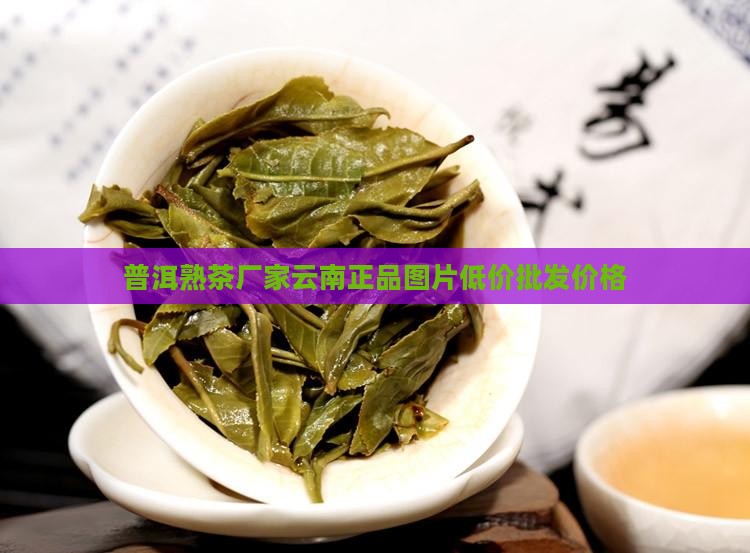 熟普洱茶哪里有卖