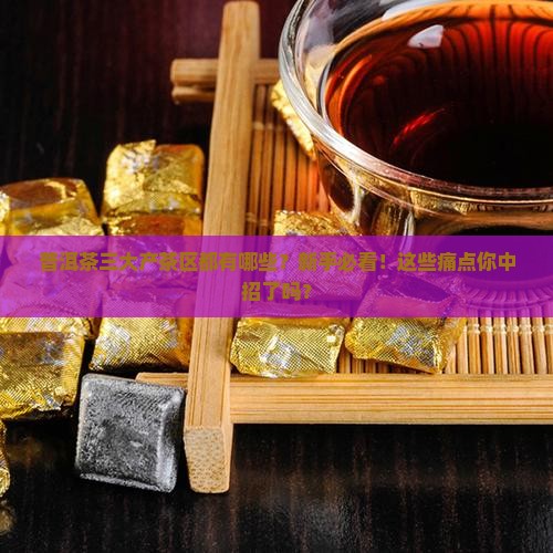 普洱茶三大产茶区都有哪些