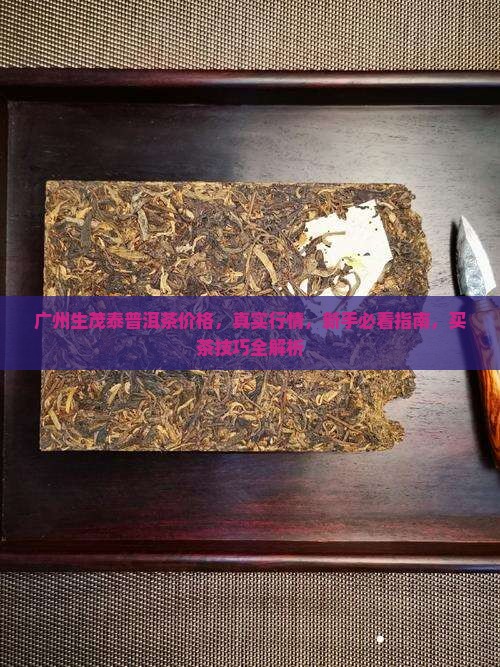 广州生茂泰普洱茶价格