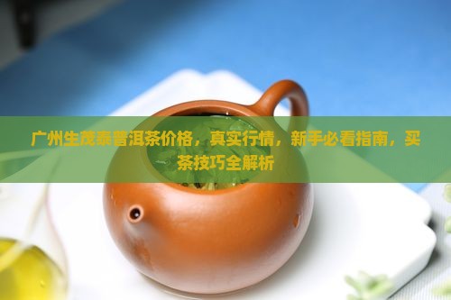广州生茂泰普洱茶价格