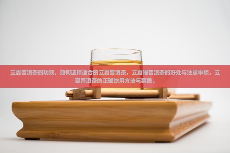 立夏普洱茶的功效