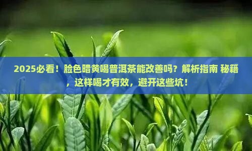 脸色暗黄喝普洱茶可以吗