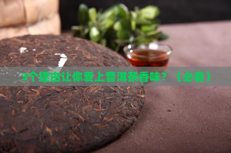 普洱茶香味有独特