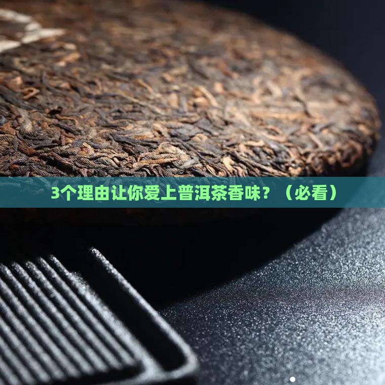 普洱茶香味有独特