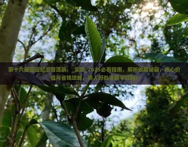 第十六届亚运纪念普洱茶