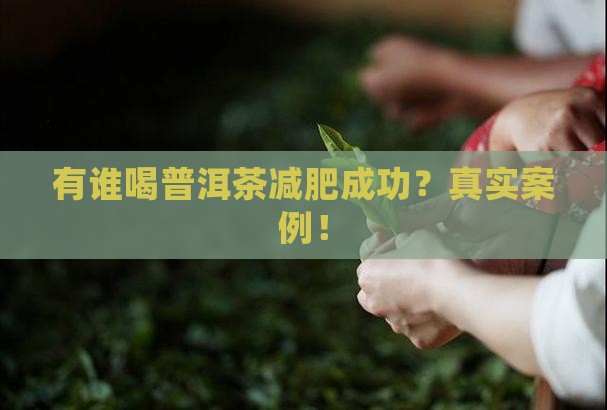有谁喝普洱茶减肥成功