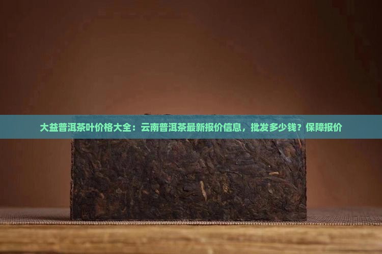普洱茶什么多少钱