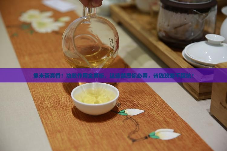 焦米茶的功效与作用及禁忌