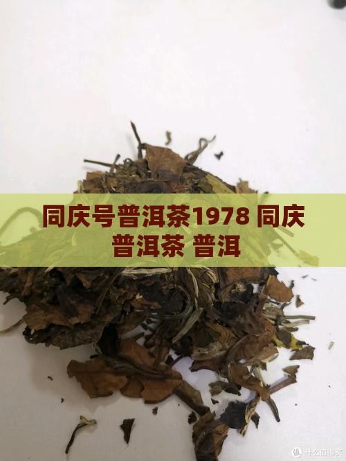 同庆号普洱茶1978