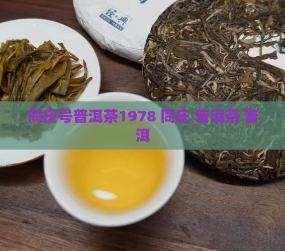 同庆号普洱茶1978