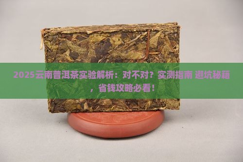 云南普洱茶做的实验对不对