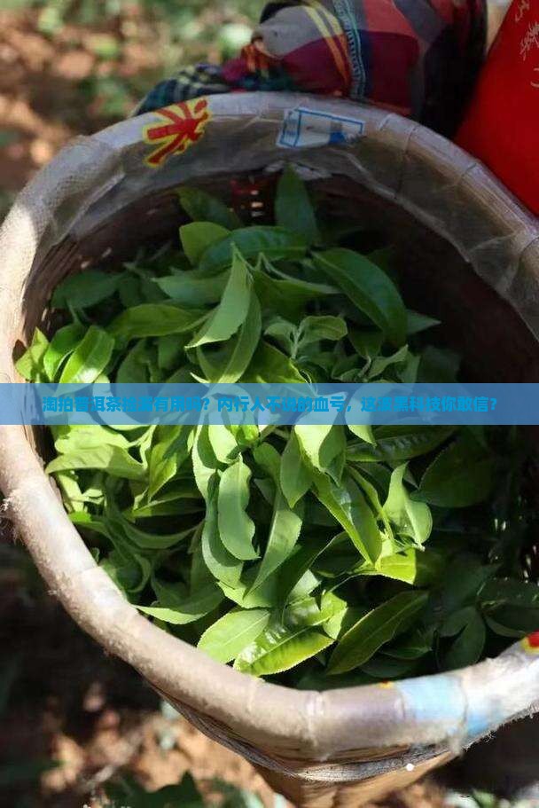 淘拍普洱茶捡漏有用吗