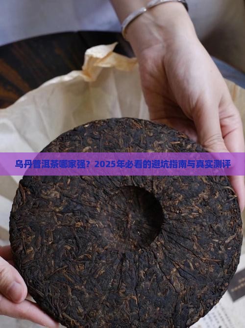 乌丹普洱茶哪家好