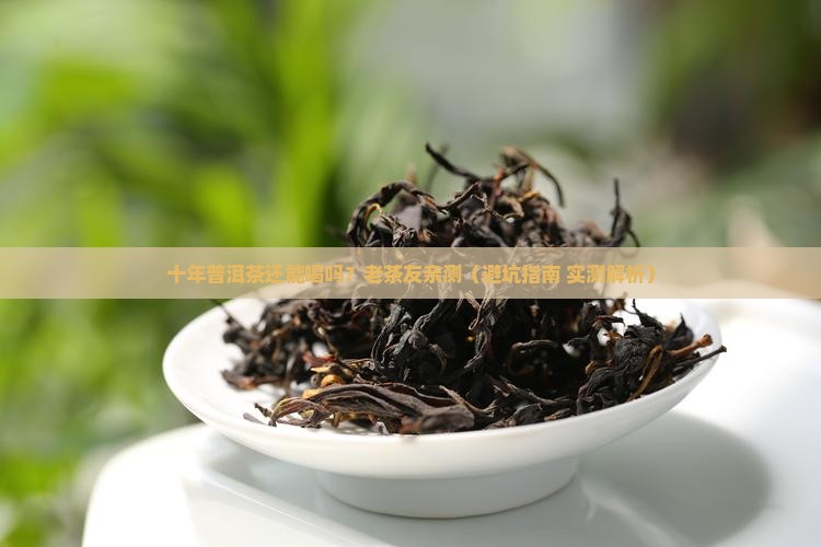 十多年普洱茶能喝吗